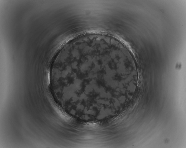 X0000100200061200805301319