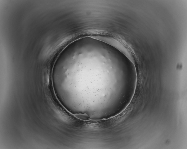 X0000100200062200805301319