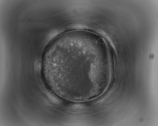 X0000100200063200805301319