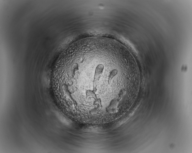 X0000100200065200805301319