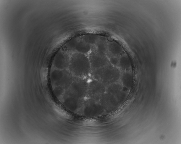 X0000100200066200805301319