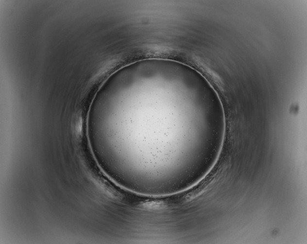 X0000100200067200805301319