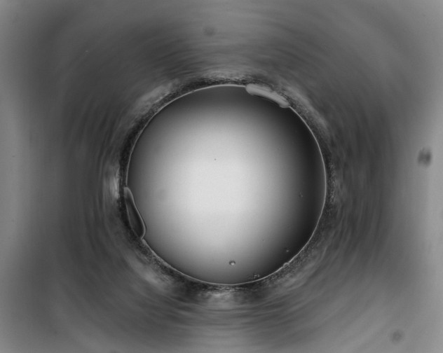 X0000100200068200805301319