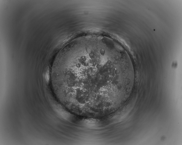 X0000100200069200805301319