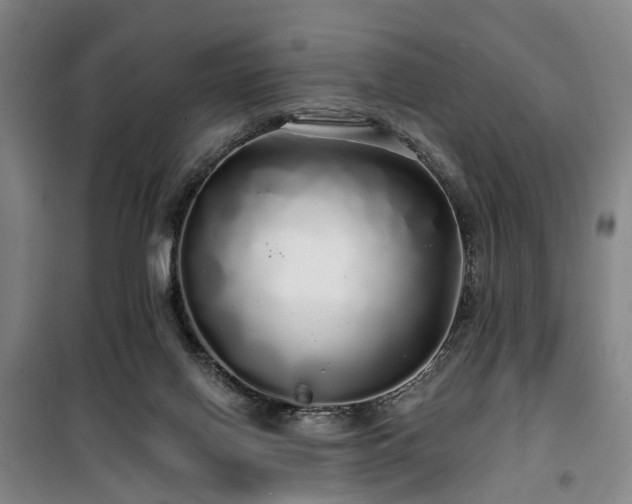 X0000100200070200805301319