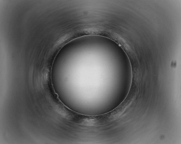 X0000100200071200805301319