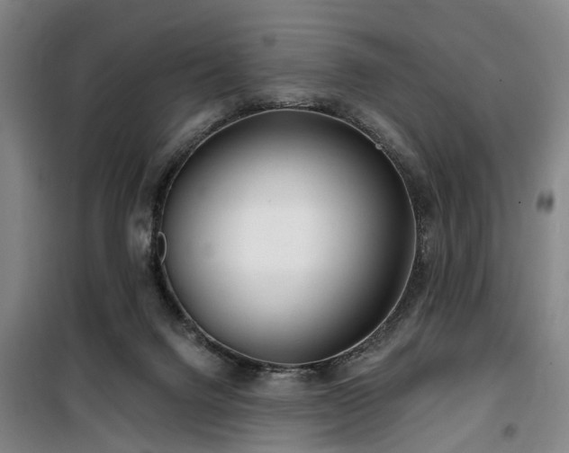 X0000100200072200805301319