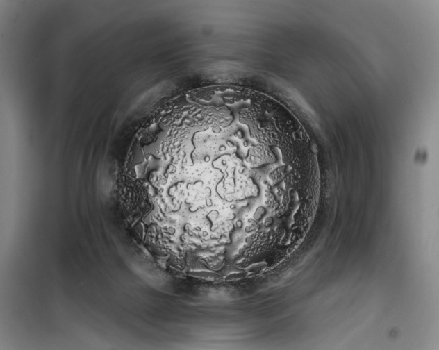 X0000100200073200805301319