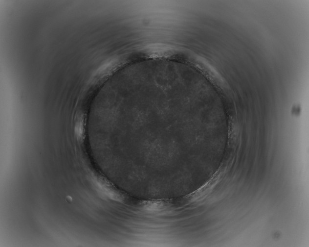 X0000100200074200805301319