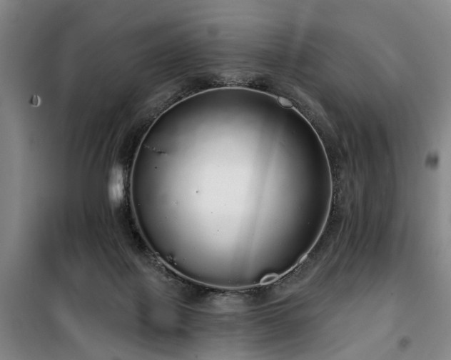 X0000100200075200805301319