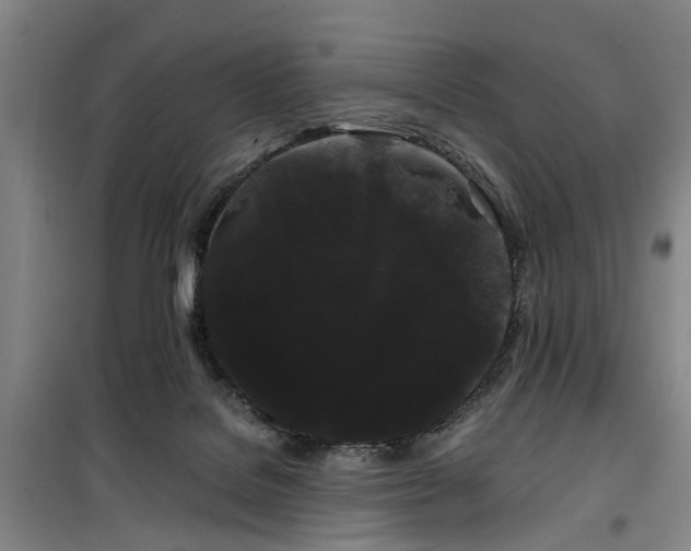 X0000100200076200805301319