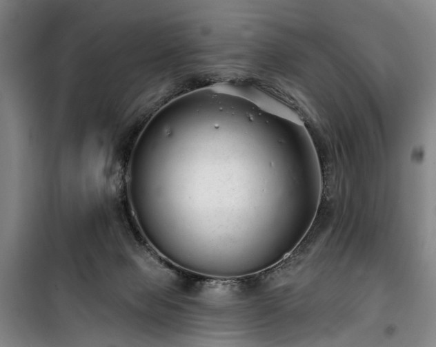 X0000100200077200805301319