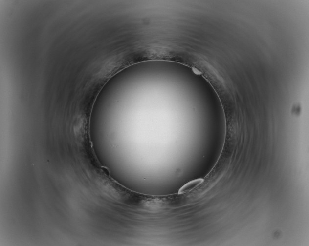 X0000100200079200805301319