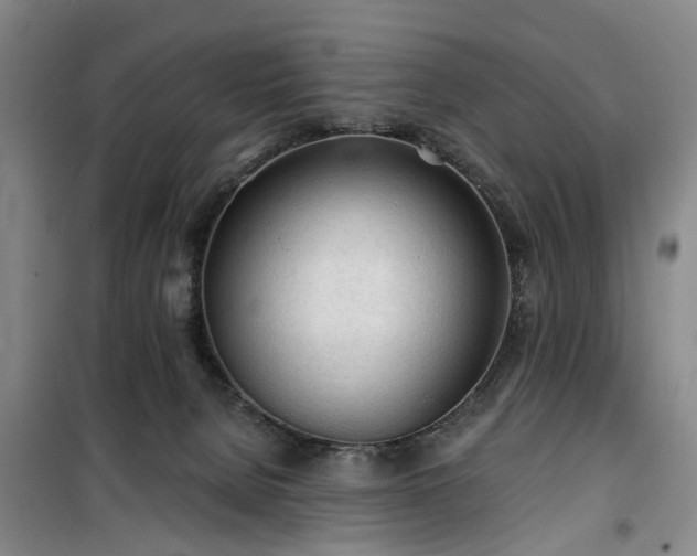 X0000100200080200805301319