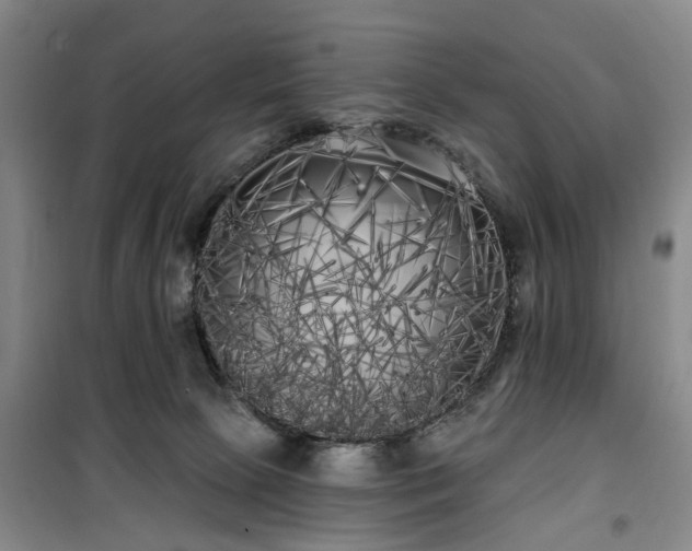 X0000100200081200805301319