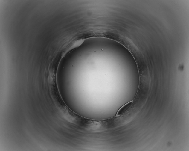 X0000100200083200805301319