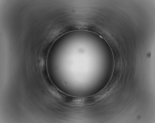 X0000100200084200805301319