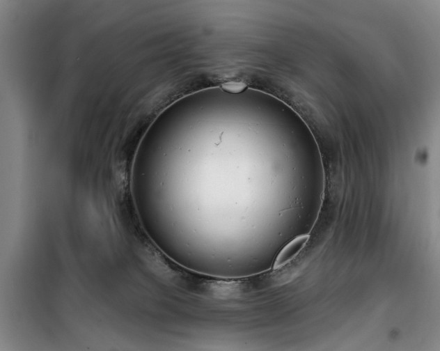 X0000100200085200805301319