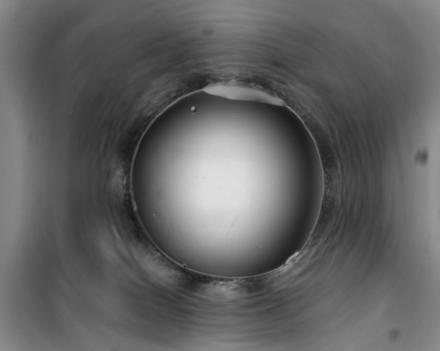 X0000100200086200805301319