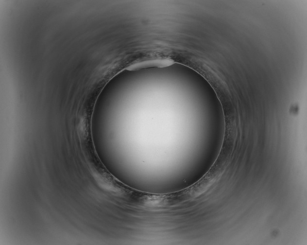 X0000100200088200805301319