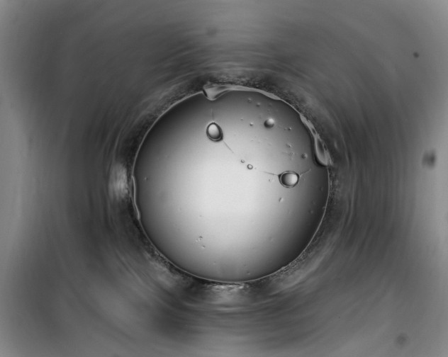 X0000100200089200805301319