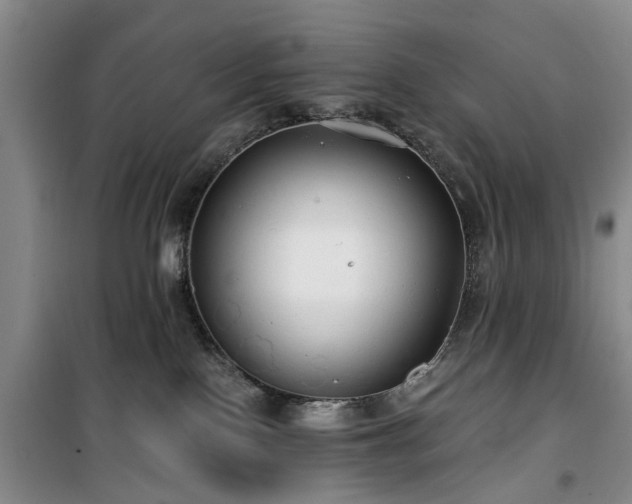 X0000100200090200805301319