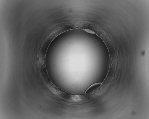 X0000100200091200805301319