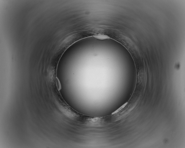 X0000100200092200805301319