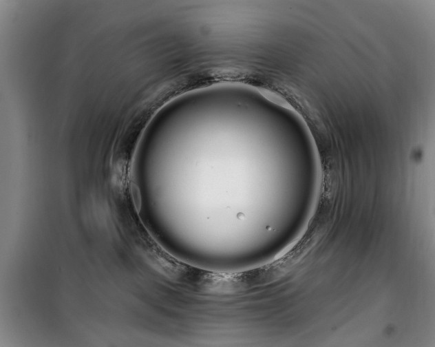 X0000100200093200805301319