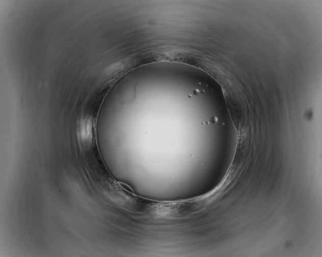 X0000100200094200805301319