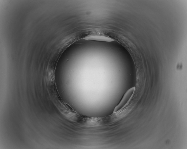 X0000100200096200805301319