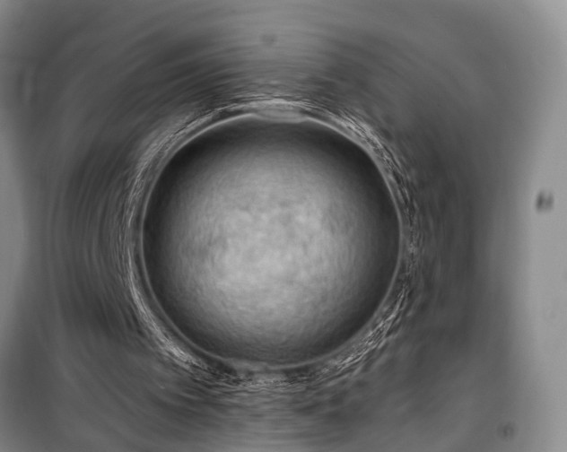 X0000100200097200805301319