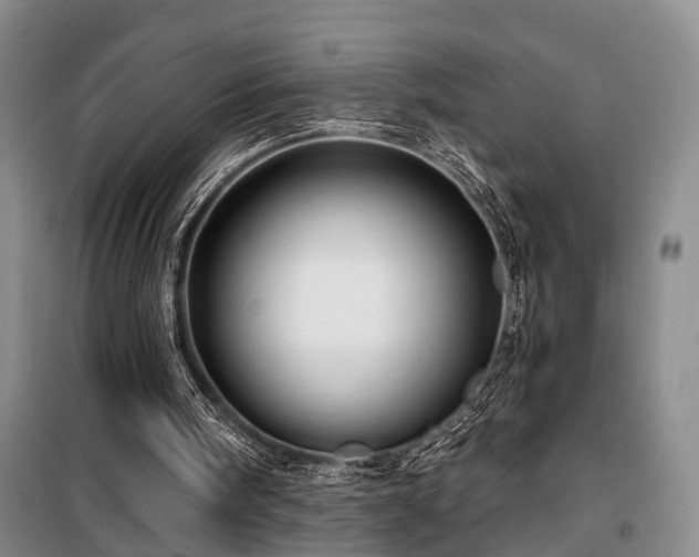 X0000100200098200805301319