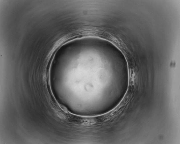 X0000100200099200805301319