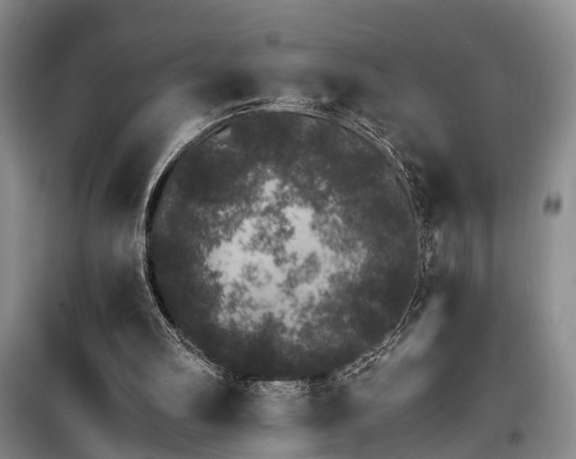 X0000100200102200805301319