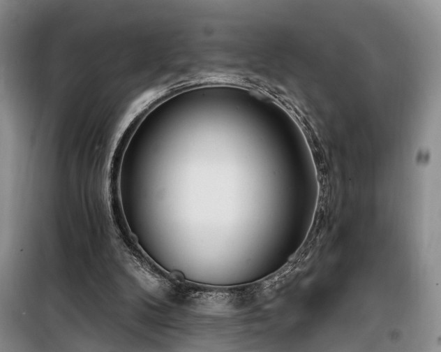 X0000100200104200805301319