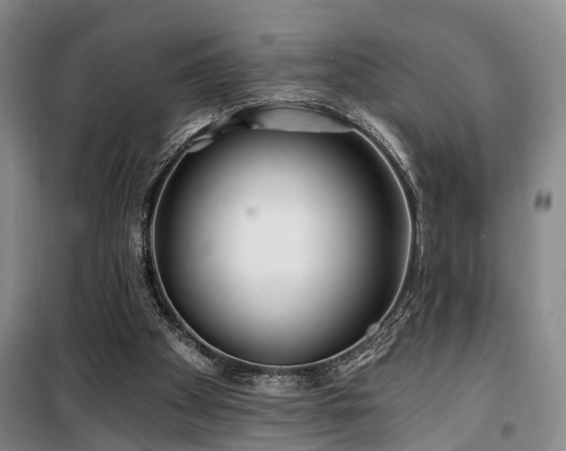 X0000100200105200805301319