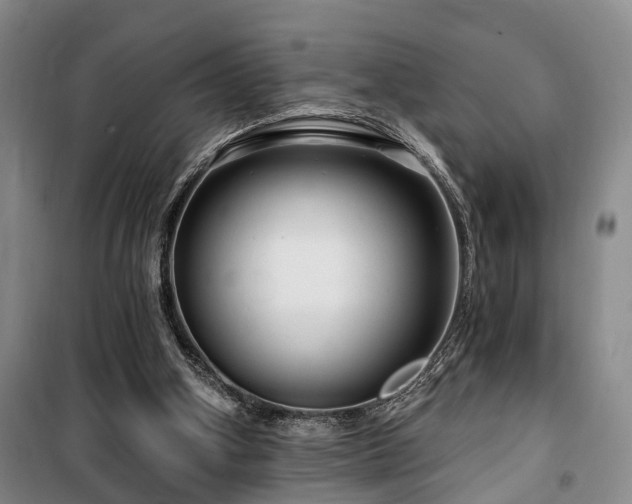 X0000100200106200805301319