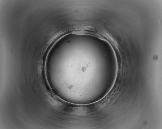 X0000100200107200805301319