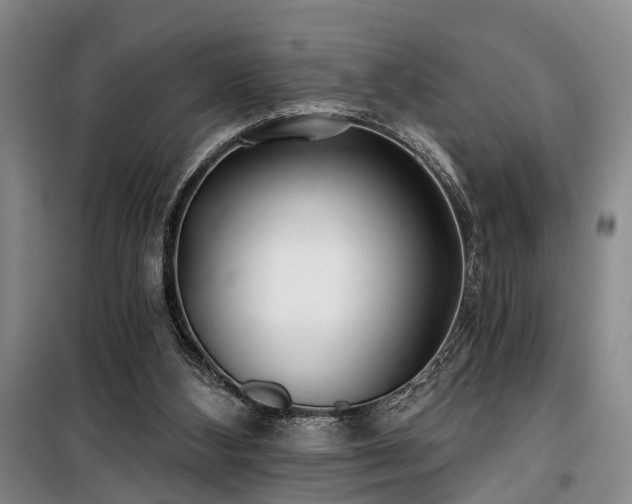 X0000100200108200805301318