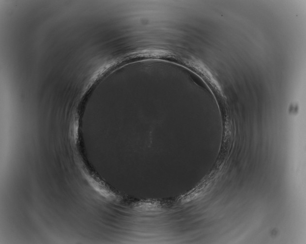 X0000100200110200805301318