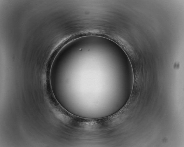 X0000100200112200805301318