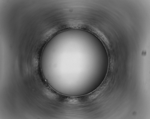 X0000100200113200805301318