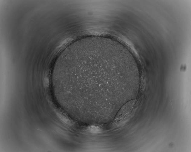 X0000100200114200805301318