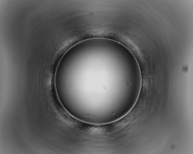 X0000100200115200805301318