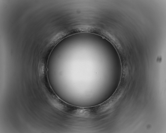 X0000100200117200805301318