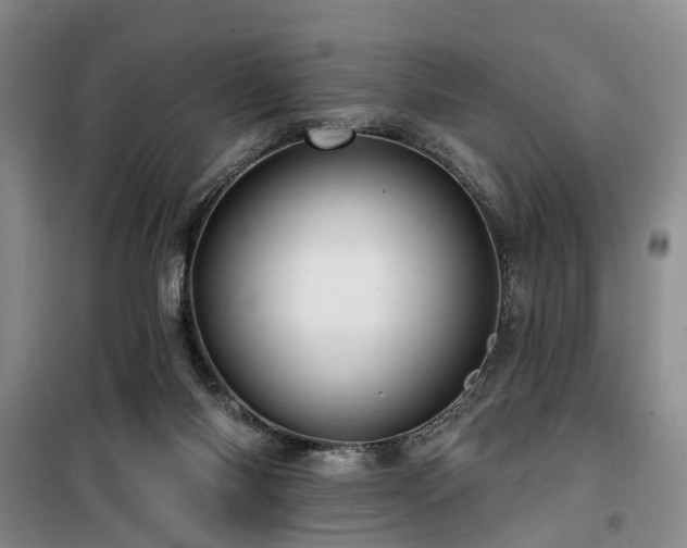 X0000100200118200805301318