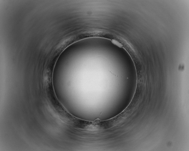 X0000100200119200805301318