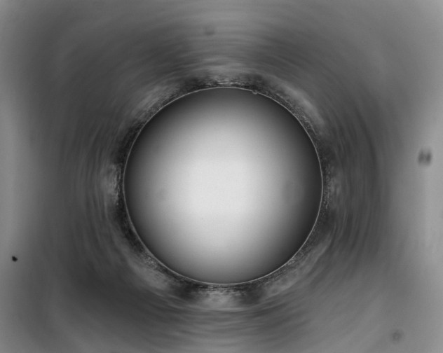 X0000100200121200805301318