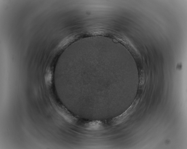 X0000100200124200805301318